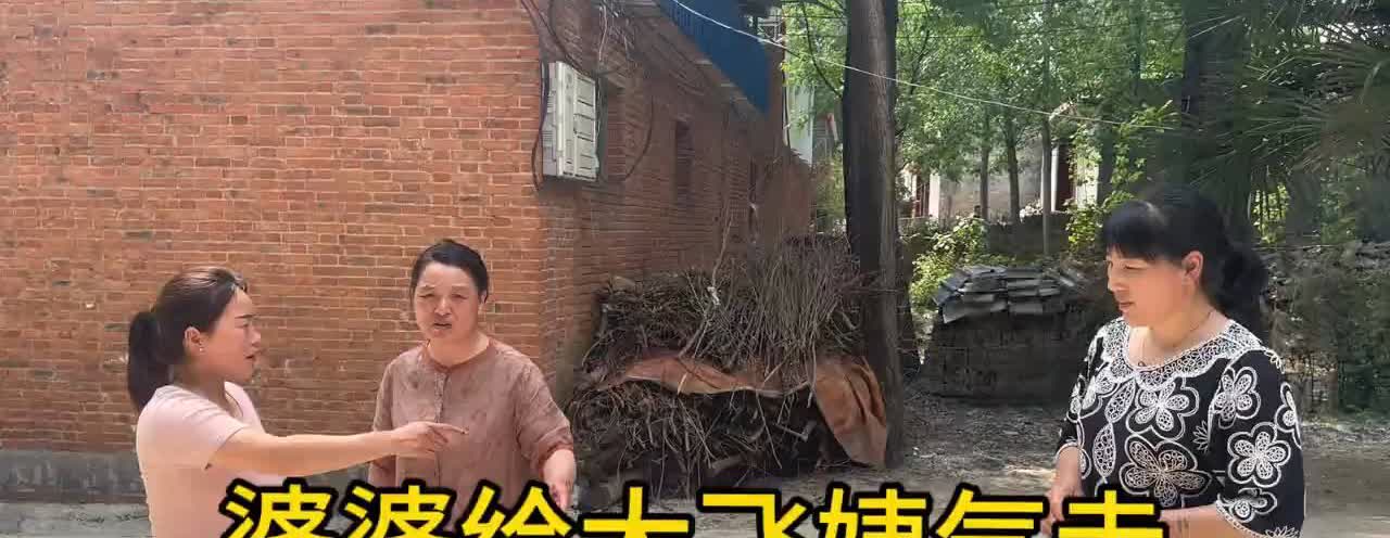 大飞妈妈跟儿子亲戚，大战现场，网友：跟谁都合不来