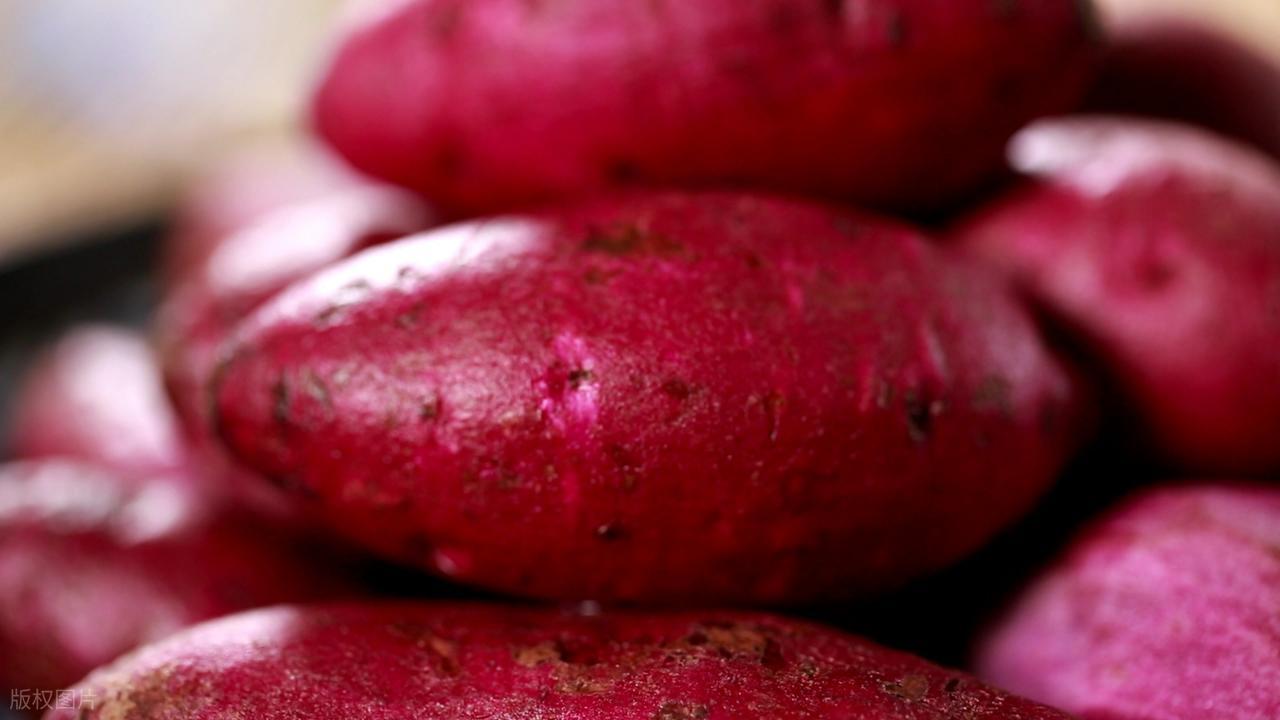 同样是番薯，红薯和紫薯究竟有什么区别？看完就知道自己该买哪种