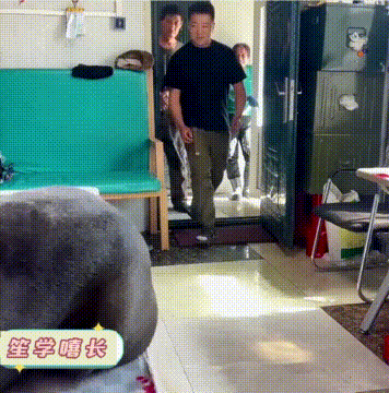 男生故意偷袭狗狗，得逞后却被好友坑了，狗子：今晚是个不眠夜！