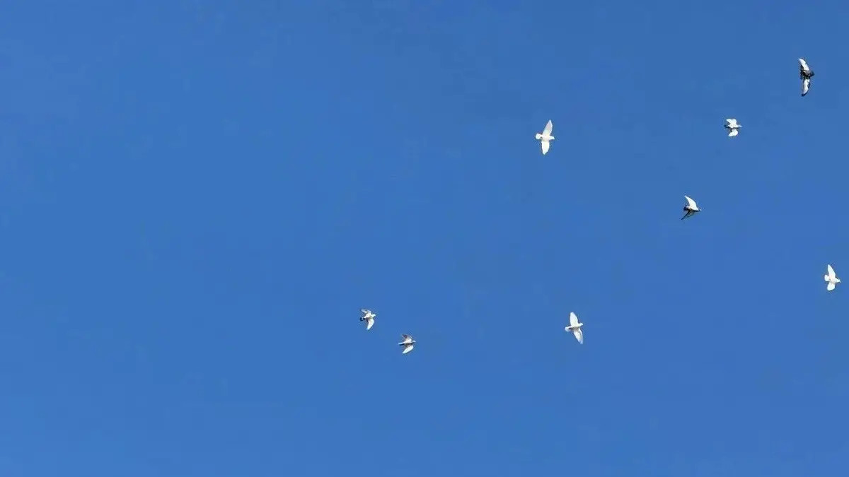 能失去的，本就不属于你 | 济语