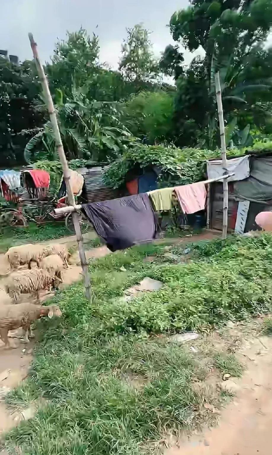 我昨天晚上出去骑车兜风，看见一个三四十的女生夜里在那翻垃圾桶，我和老公当时很慌乱