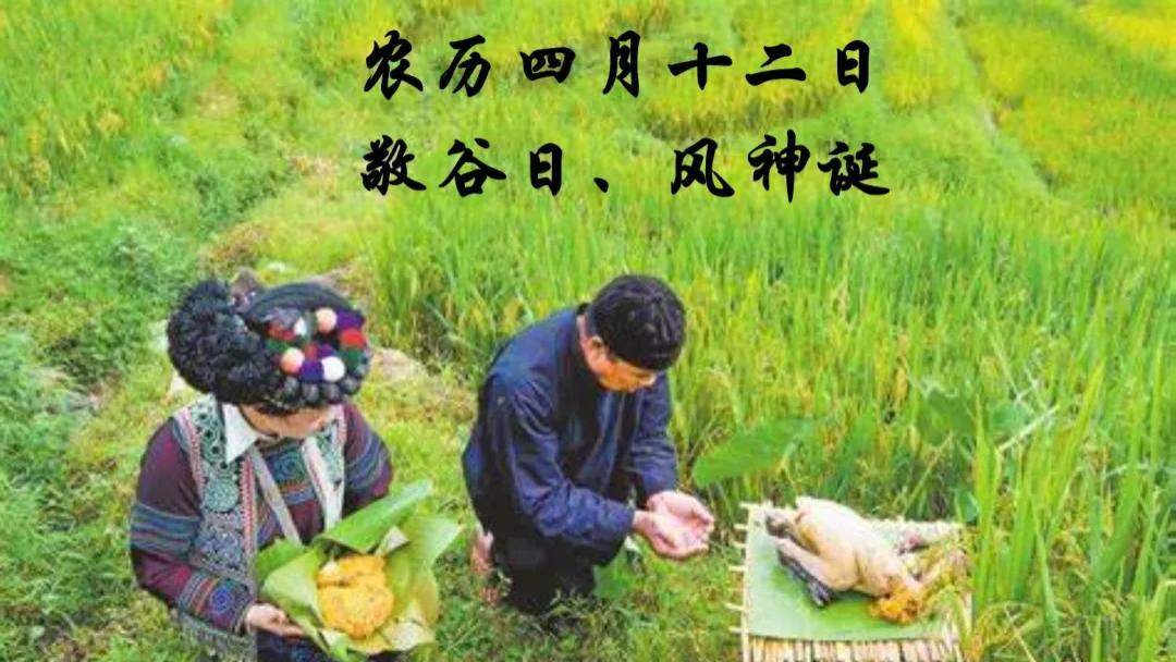 今天农历四月十二，记住“吃三样，做二事”习俗，仓廪充实心不慌