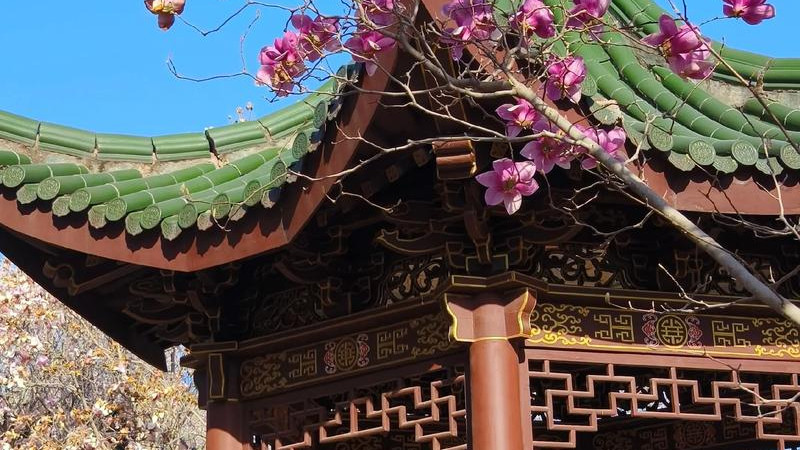 双塔凌霄·科举活典｜晋城海会书院：在琉璃光影中解码“北方书院第一塔”的千年文脉