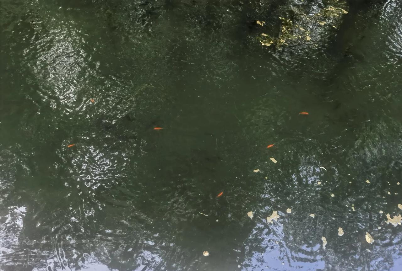 红尘热浪之中追逐刺激歌舞声色的愚者看到智者平淡宁静的生活，前者或有此念。后者或有