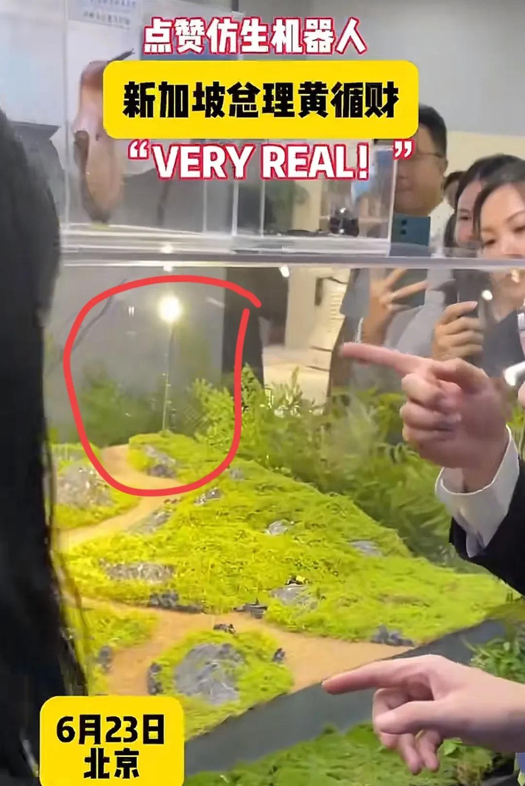黄循财到访中国，在北京考察机器人产业！
展示的一款昆虫仿生机器人看着很厉害，大小