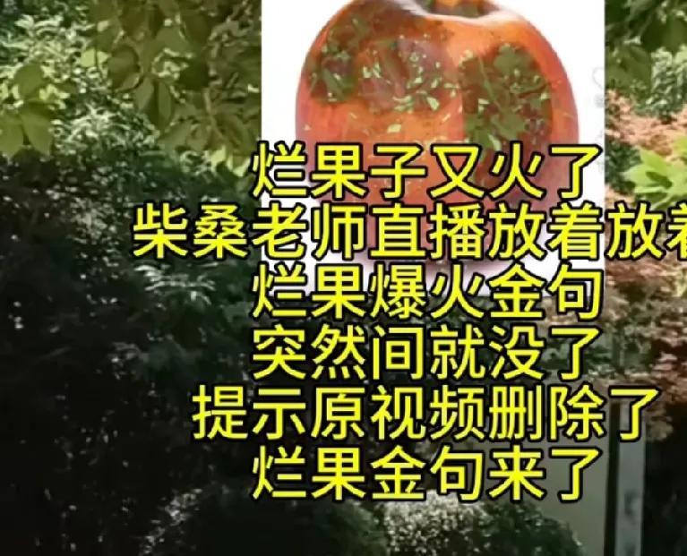 烂果子太狂妄了！直播叫嚣：不管在哪儿都偷！



柴桑大姐怒火中烧，九江方面的迟