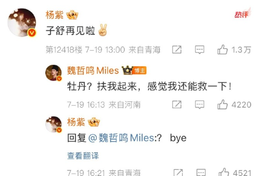 杨紫和魏哲鸣的微博互动好有梗前夫哥收官了人设也不能倒，杨紫都有点不敢回了~ ​​