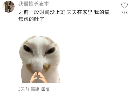 怕没饭吃吗，哈哈