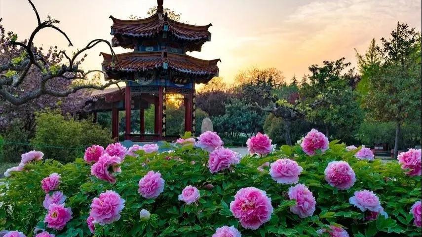 在适当时放手，让孩子拥有独立生活