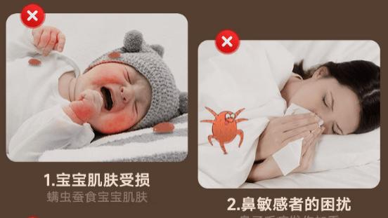 除螨仪哪家比较好？什么牌子的除螨仪好？十款最建议买除螨仪硬核测评，真相大公开！