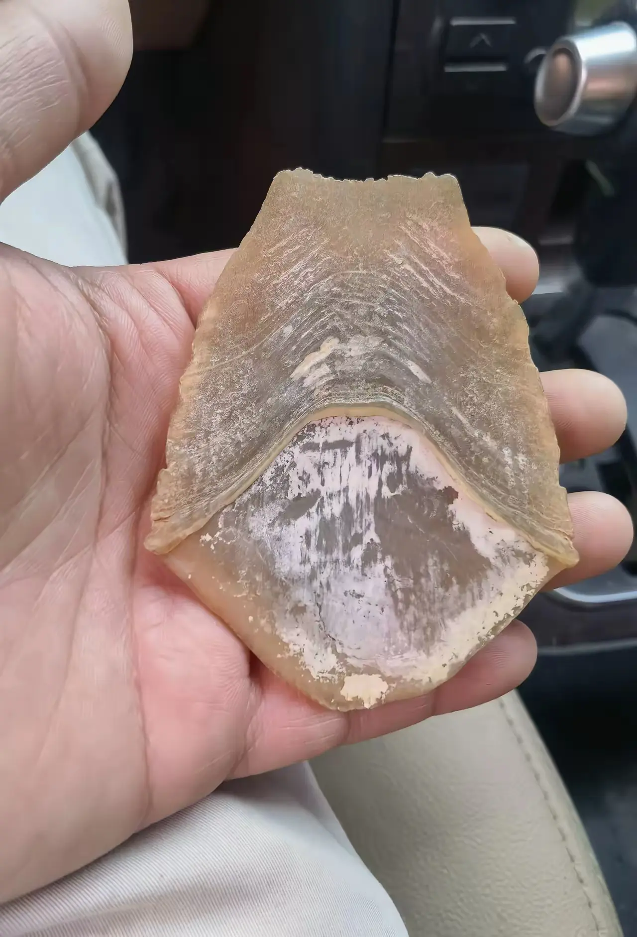 在奶奶家捡到这个，不知道是啥，有知道的吗？