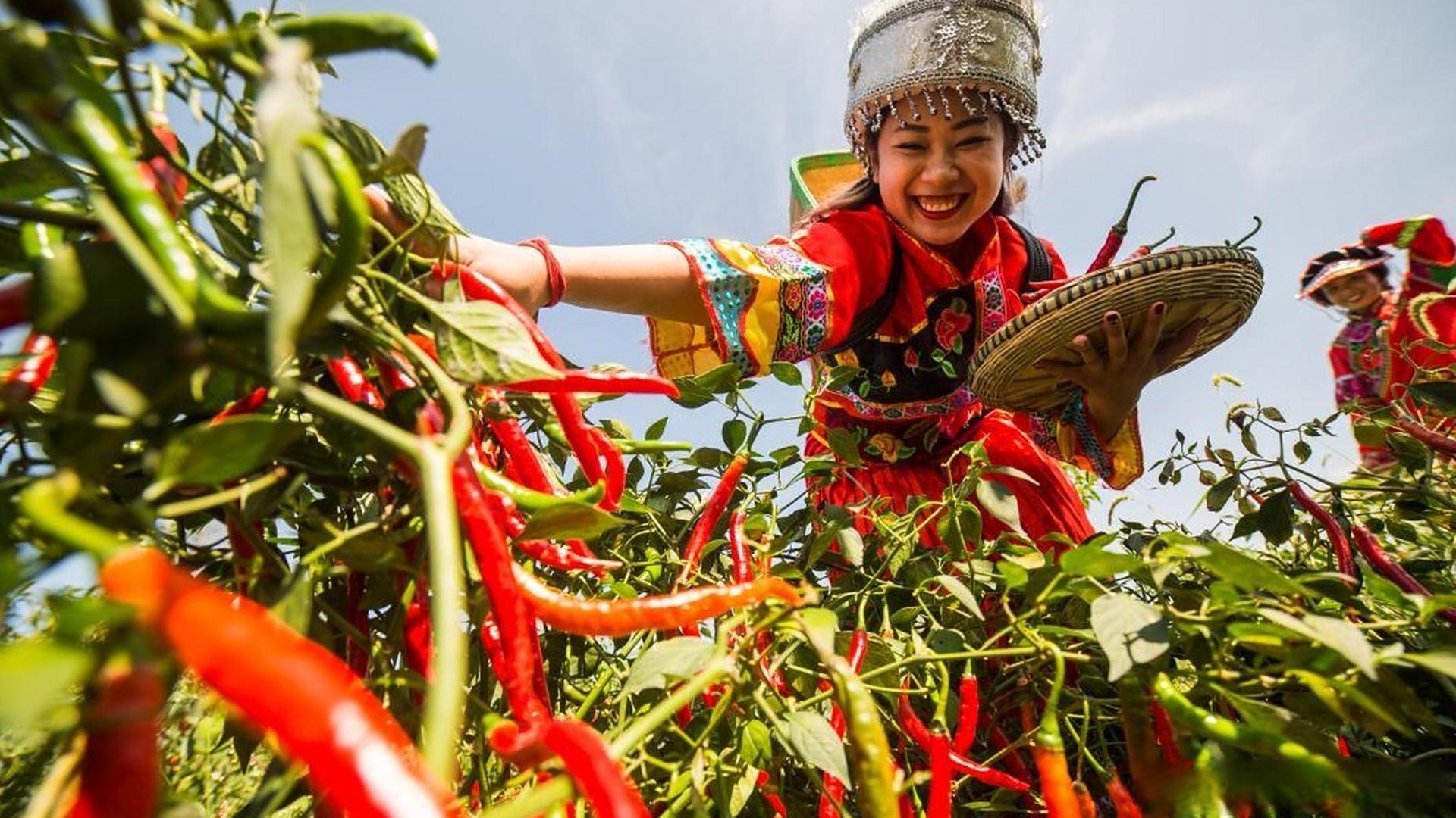 辣味儿正在慢慢主宰中国人的餐桌