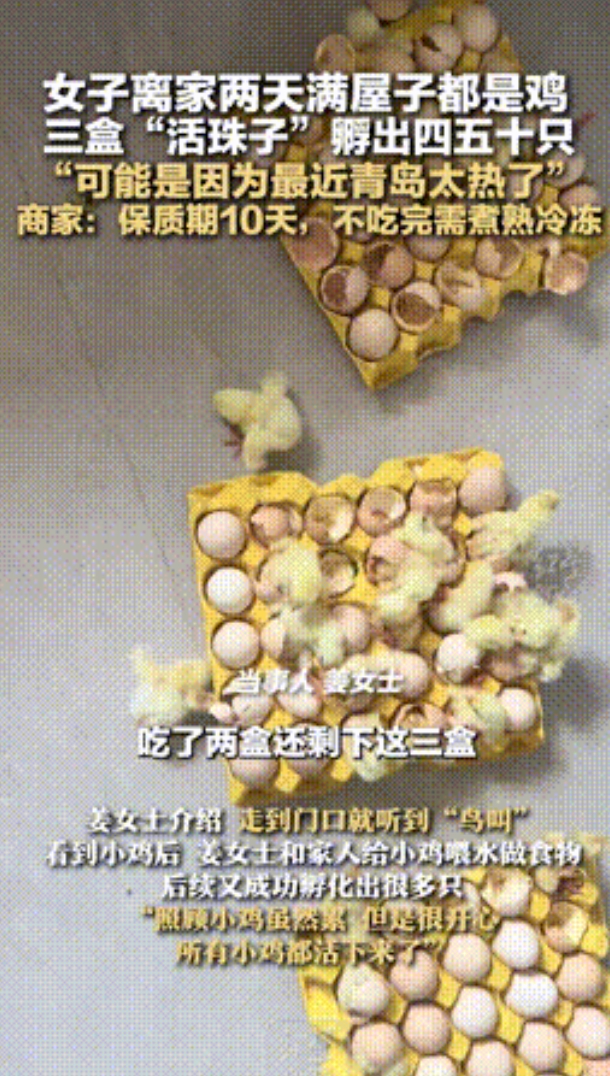 “简直就是捡钱！”山东青岛，一女子买了5箱“活珠子”准备吃，因天太热离家两天，不