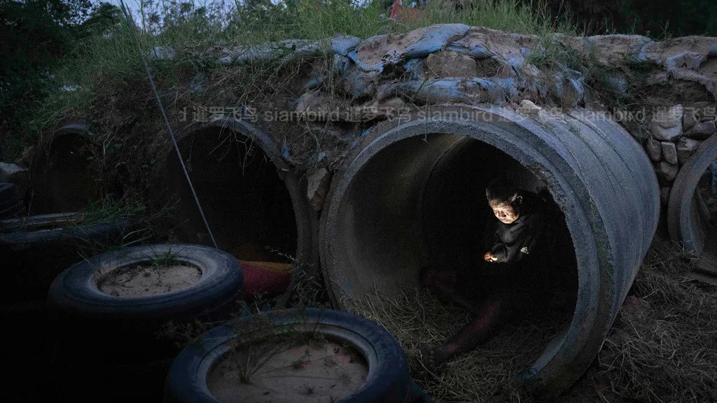 泰柬在新一轮冲突中激烈开打：停火破裂、宿怨复燃与地区秩序的压力测试