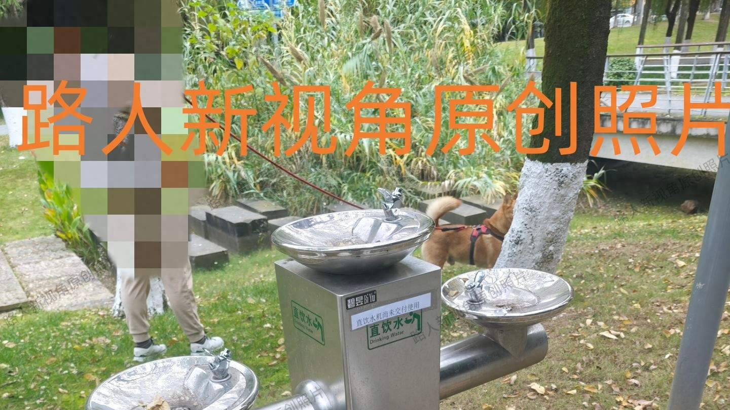 成都市大源中央公园内的直饮水机何时才能交付使用？