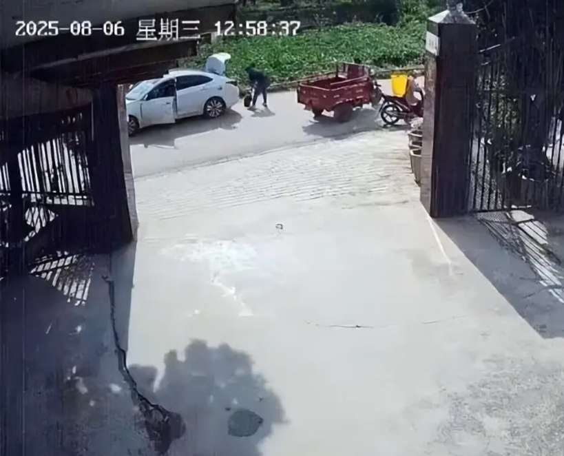 云南丽江，一大妈从程海湖买下一只二十多斤鳄龟，饲养了三十多年，它成了农家乐的“吉
