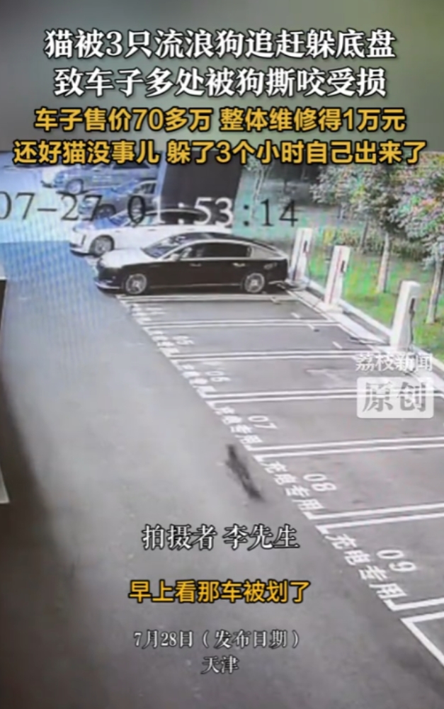“太倒霉了！”7月27日，天津，一男子早起发现70万元的车被划，整体维修得1万元