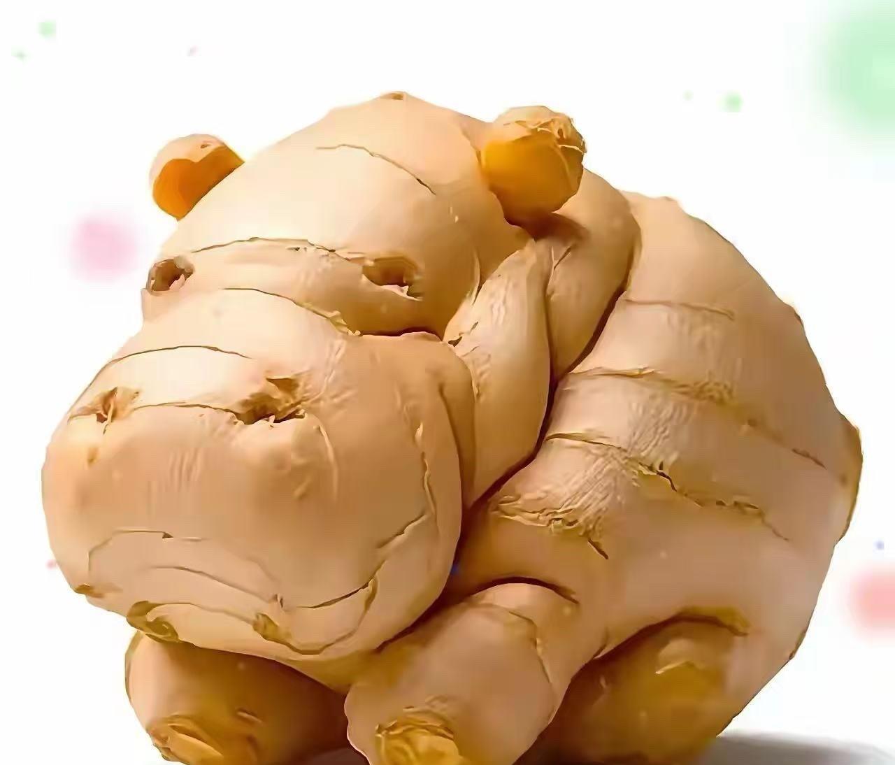 你第一眼看到了什么？看看你的孩子会给你带来怎样的幸运与福气？
A：河马
B：生姜