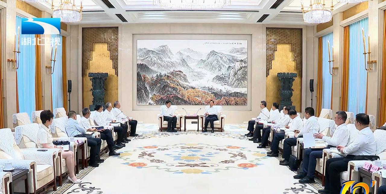 6月23日，湖北省领导在武汉会见国家电网有限公司董事长张智刚一行。
