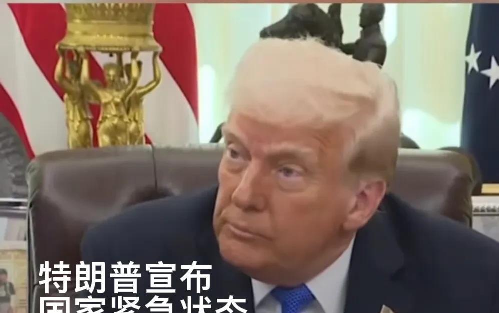 特朗普这个时候宣布国家紧急状态，有什么目的？
当地时间4月2日，美国总统特朗普宣