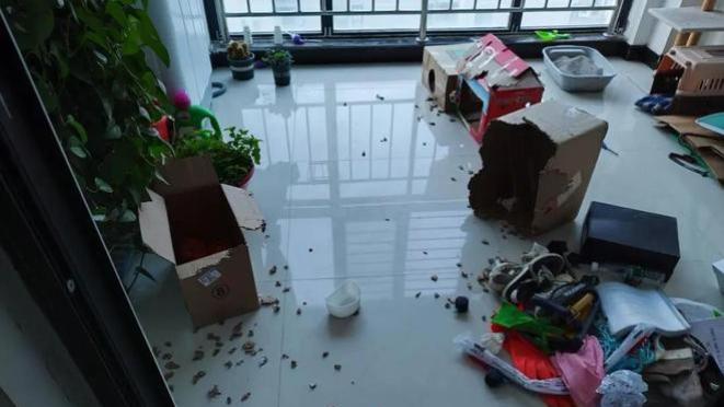 老一辈不理解，年轻人十分追捧的6个设计！网友：还好他们没参与