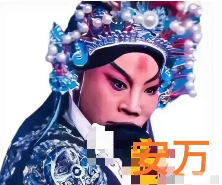 有人号召粉丝给安万捐款唱戏？今天看到有网友这个提议，我觉得很有趣！
安万剧院16