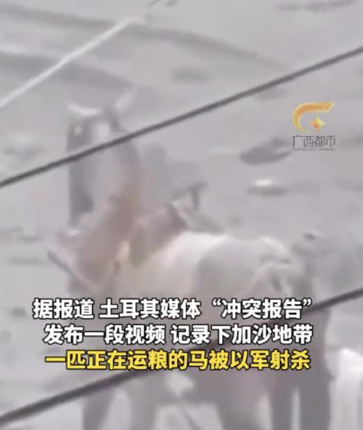 以色列再次攻击给难民运救济粮的队伍。那些给以色列洗地的人最好摸摸自己的良心！20