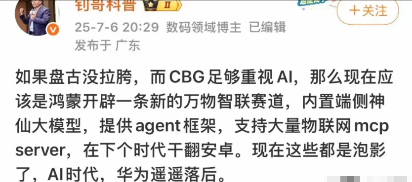 这个人对华为的看法还是很具代表性的，AI是未来生产力的基础，这方面华为似乎没有什
