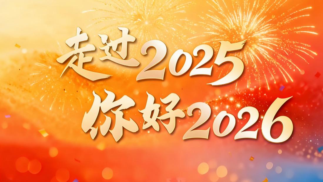 岁末自鉴，新年可期：我的2025与2026
