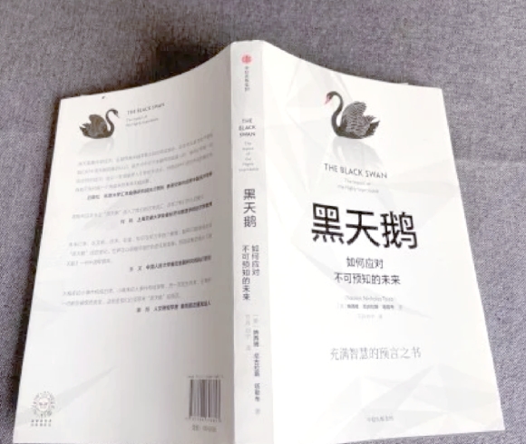 《黑天鹅》启示：普通打工人的“安全气囊”打造指南