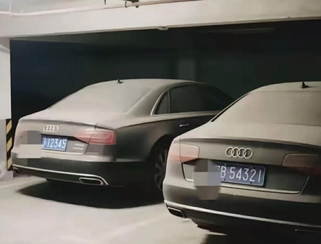 车好，车牌也好，怎么不开呢？真的浪费。