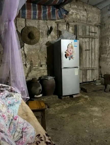 好想去看演唱会！