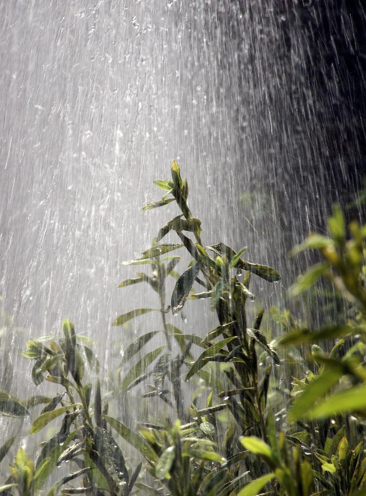 这雨，非得以这种方式才能下吗？为什么就不能好好的下一场雨呢？今天，成都又下雨了，