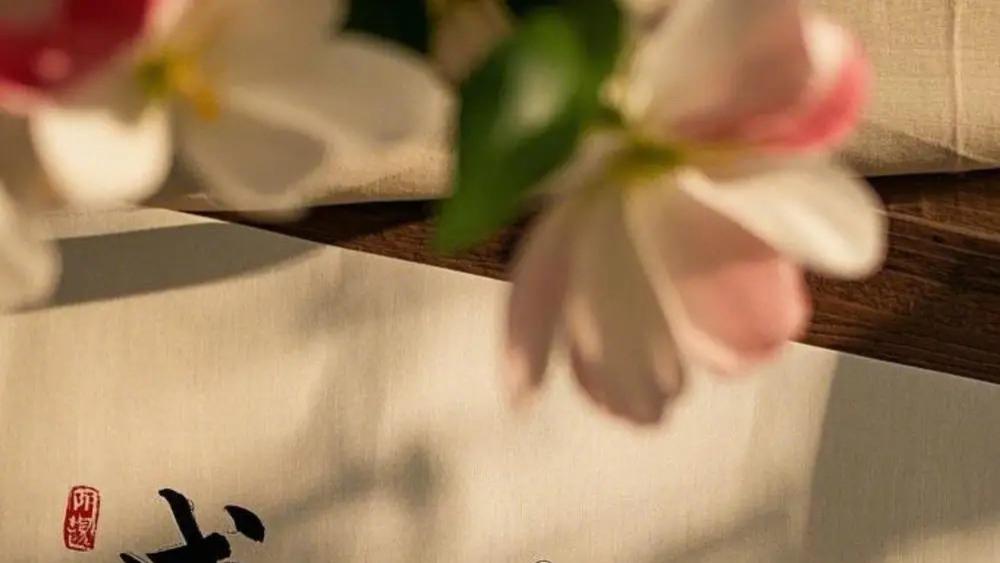 短剧《阿轩的秘密 & 老板我要离职创业 & 昔云楚楚 & 往事随风》完整版全剧集免费看资源，阿轩的故