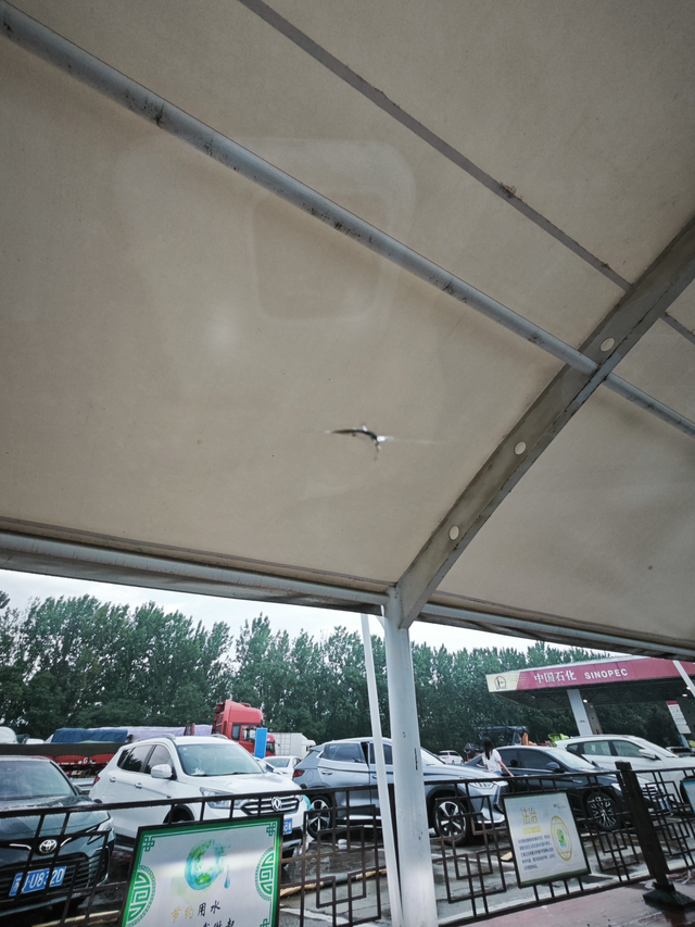 换了个玻璃被石子蹦了
高速快车道行驶，大车特别多，跑的不是很快，估计80左右，然