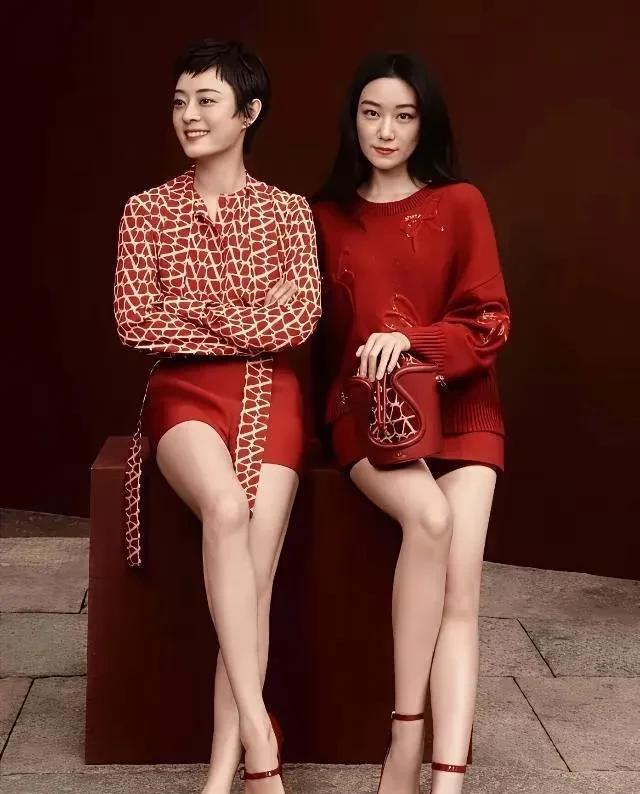 孙俪和孙艳姐妹俩真的很奇怪，
明明是亲姐妹，五官却一点儿也不像，
孙艳如果有孙俪