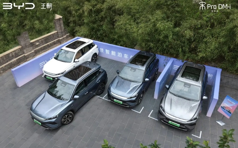 比亚迪去年最后三个月销量都过了五十万，结果今年到现在也不过月销量38万。
换言之