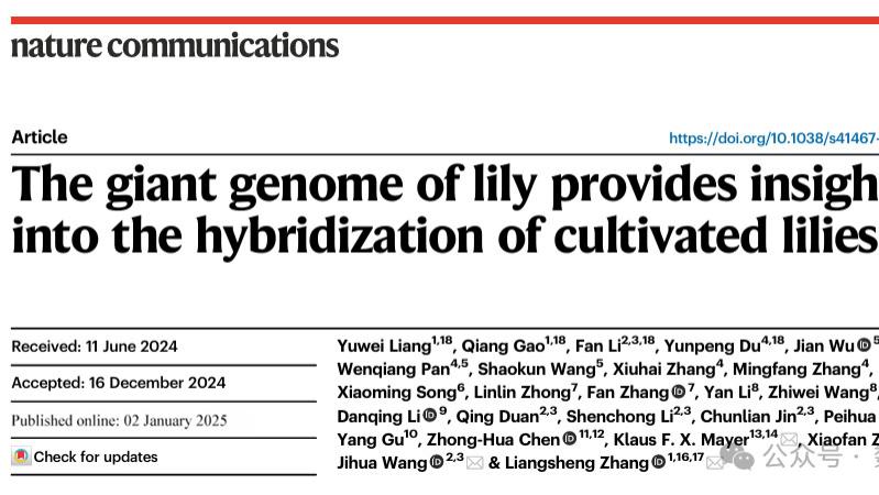 文献分享|NC|百合超大的基因组为栽培百合的杂交提供了见解