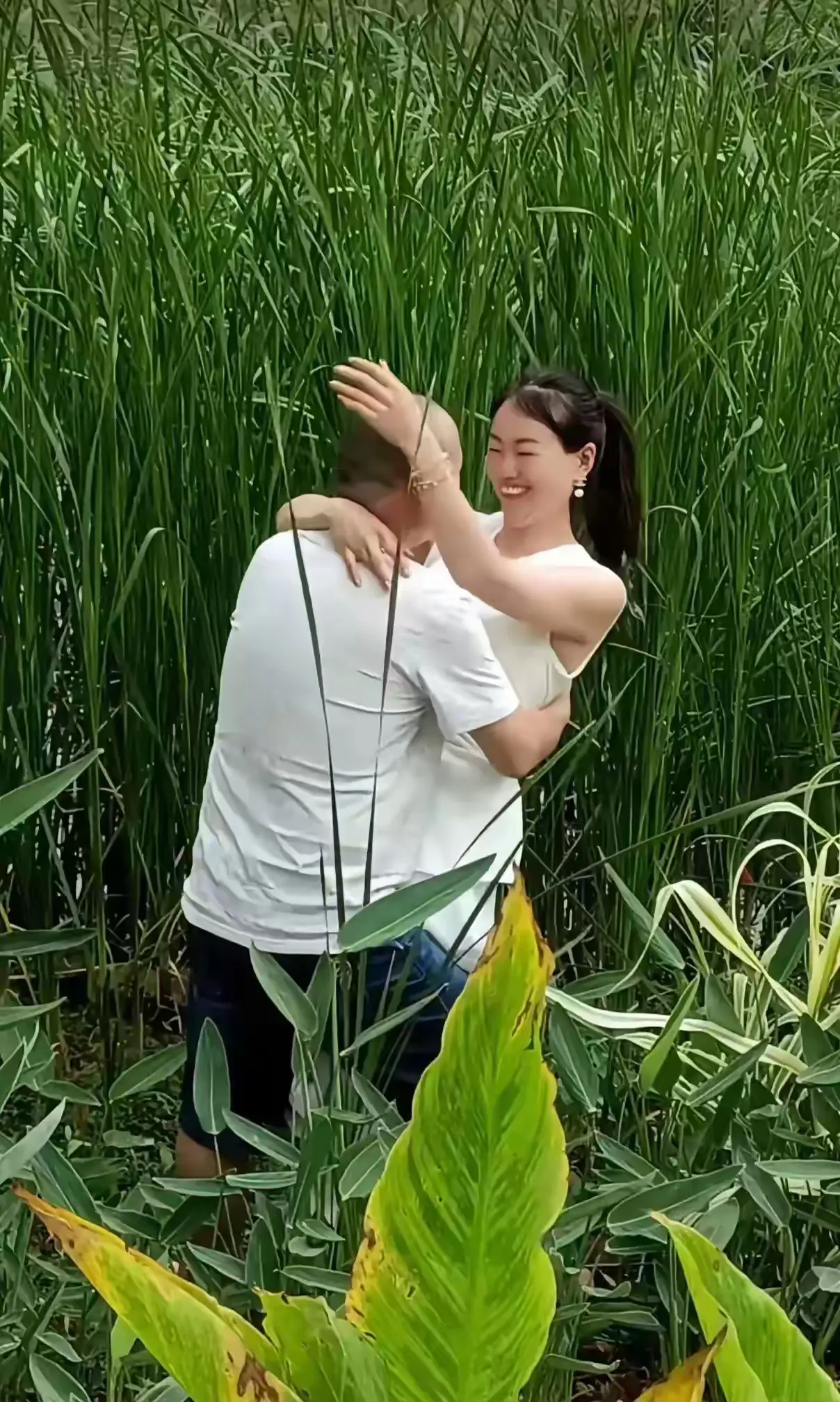邻居叫我一起来看看稻田里的风景