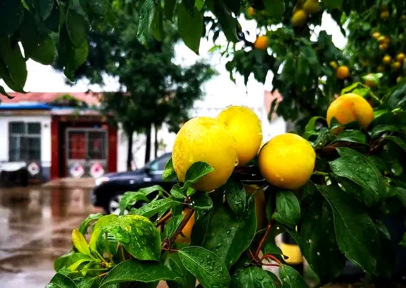 王浩的心又提起来了：多哈世乒赛男单决赛是王楚钦对阵雨果，这场比赛肯定不好打。
