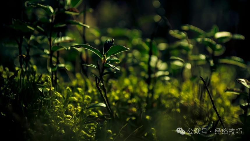 肩颈疼不要直接按！用这个“顺序”可能事半功倍（干货）