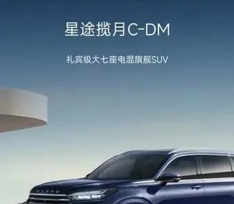 11
星途揽月C-DM属于中大型插混SUV市场的重磅车型，其定位礼宾级大七座电