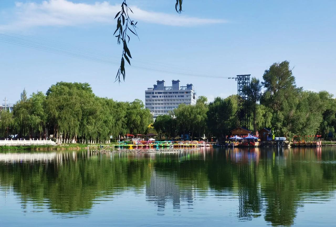 夏日湖畔，
绿树成荫，
色彩斑斓的游船点缀其间，
宁静与活力并存。
凉风习习，