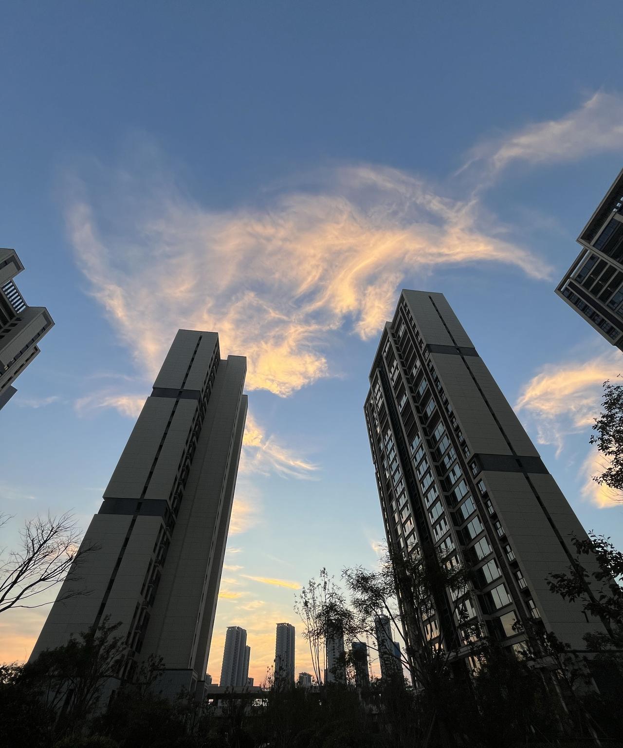 一位经济学教授说：“现在什么东西最保值？不是房子，房子已经是昨日黄花，不是黄金，
