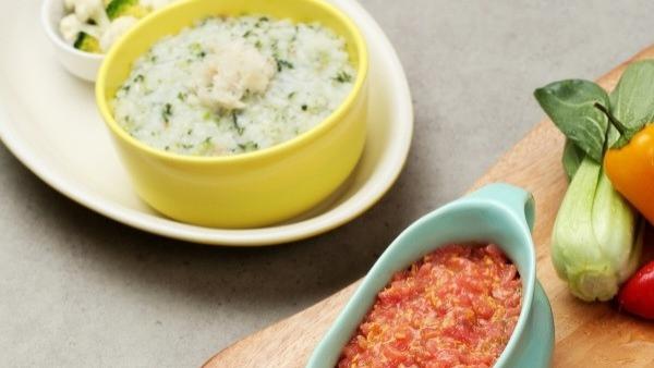 一招破解“辅食麻烦”：全家共享的营养魔法