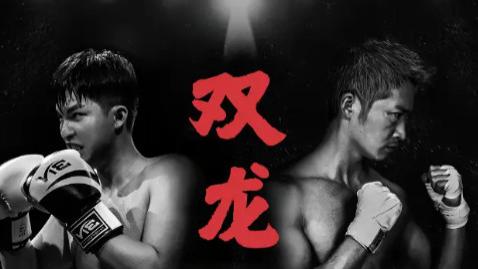 最新短剧《双龙逆战》：悬念与情感交织的精彩剧集