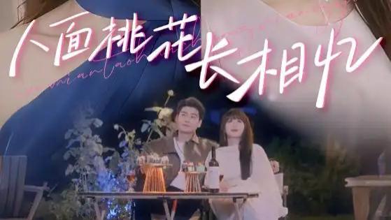 高清短剧《人面桃花长相忆》：81 集豪门爱恨交织，情牵三生虐恋