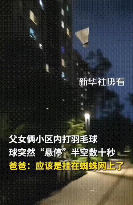 差点解释不清了！傍晚，爸爸领着女儿在楼下面打羽毛球，女儿正仰头盯着球等待父亲的出