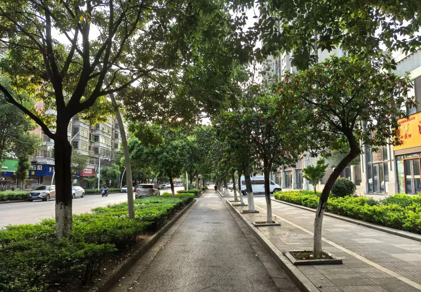 伊以战争：大家好像都赢了又都输了











世界大战要来了吗？别慌！