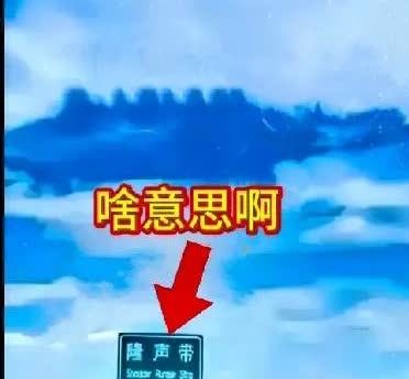 也许是我不经常跑高速原因吧，没见过这种标志，今天在高速路上看到这个标志，但不知道